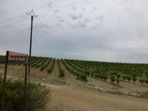 b0296855_21091642.jpg