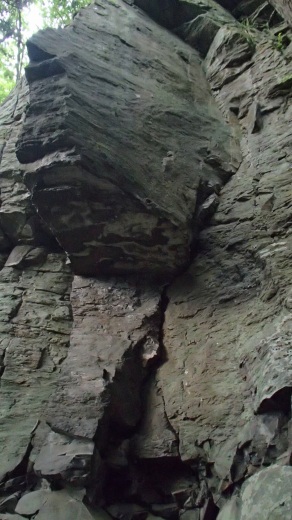 b0050067_024116.jpg