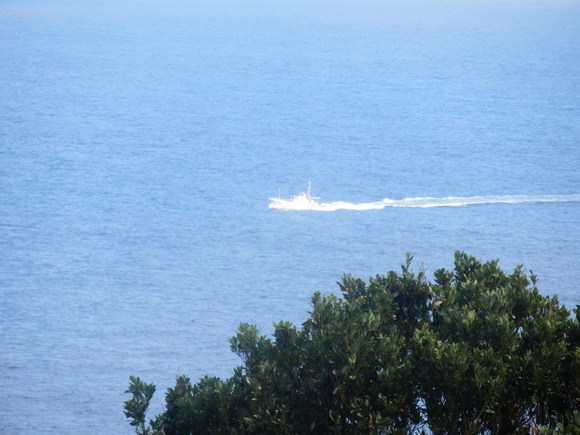 e0292172_2101278.jpg