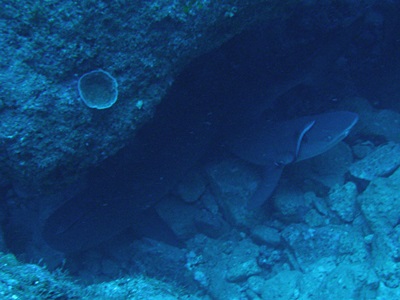 b0033573_16334389.jpg