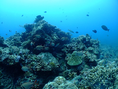 b0033573_16335932.jpg