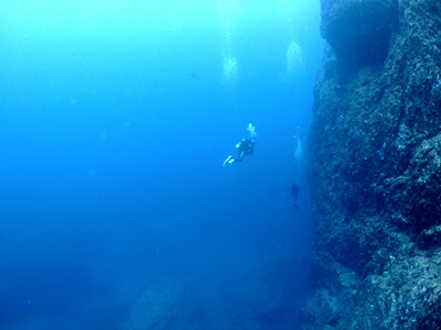 b0033573_16341772.jpg