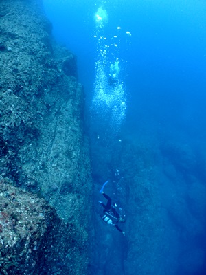b0033573_16342300.jpg
