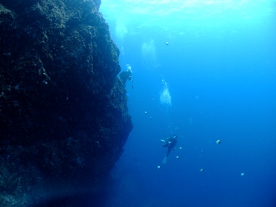 b0033573_16342814.jpg