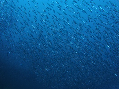 b0033573_16584838.jpg