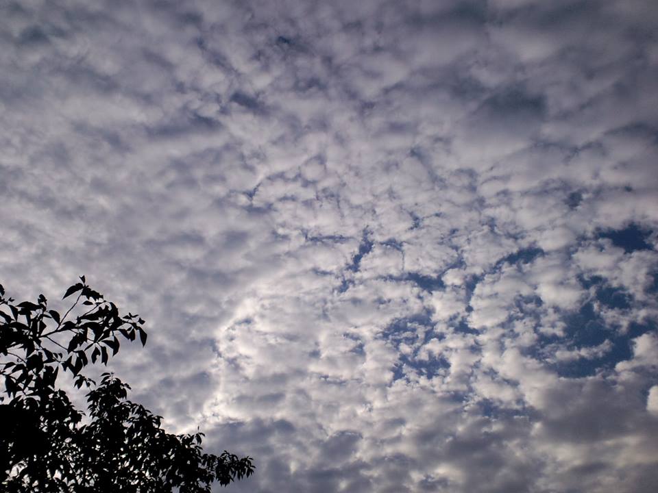d0147774_231819.jpg