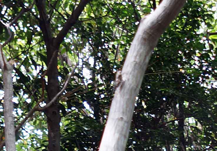 b0057679_9151177.jpg