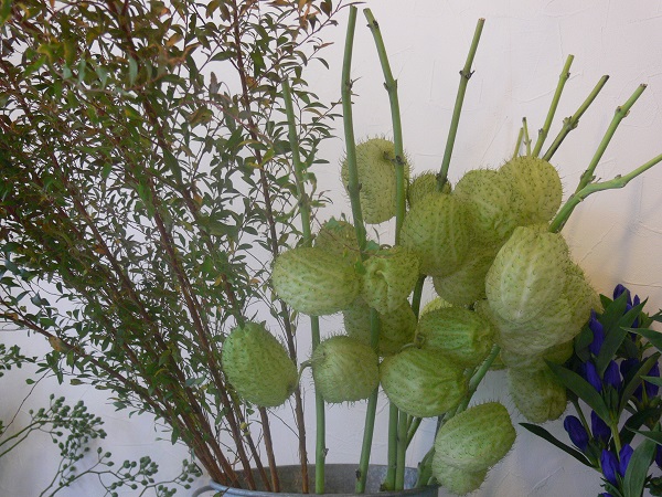 e0140986_17515580.jpg