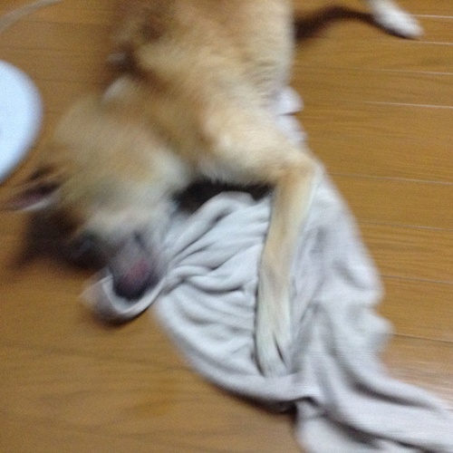 c0123890_20563560.jpg