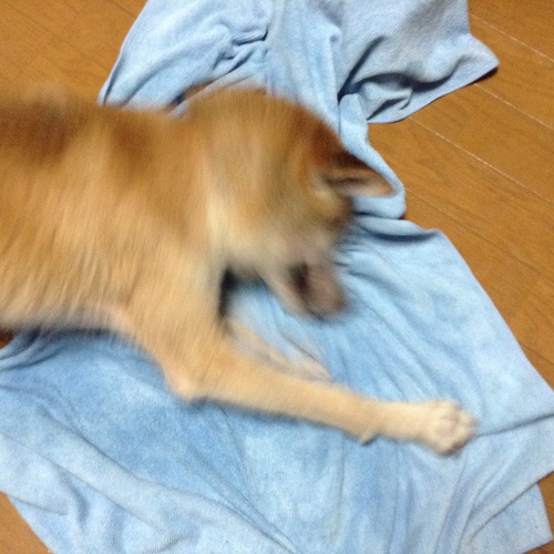 c0123890_20572091.jpg