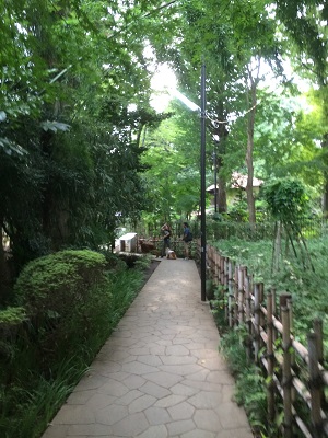 a0134004_22413717.jpg