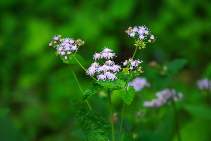 a0263109_15502090.jpg