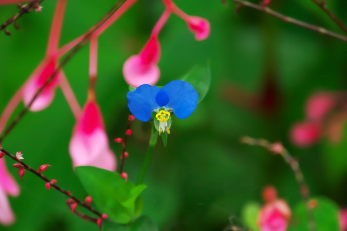 a0263109_15573180.jpg