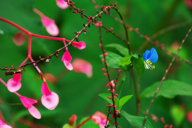 a0263109_15573260.jpg