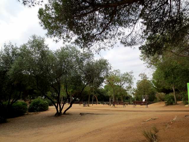 b0064411_04044951.jpg