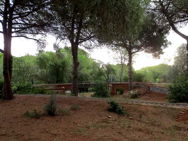 b0064411_04555925.jpg