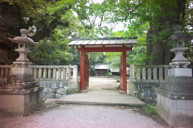 d0143011_2059073.jpg