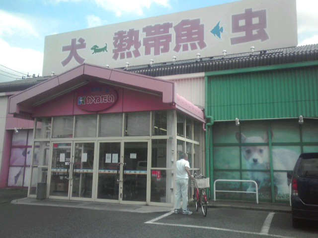 a0291521_1352311.jpg