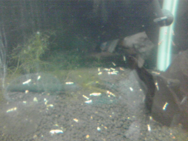 a0291521_16235523.jpg