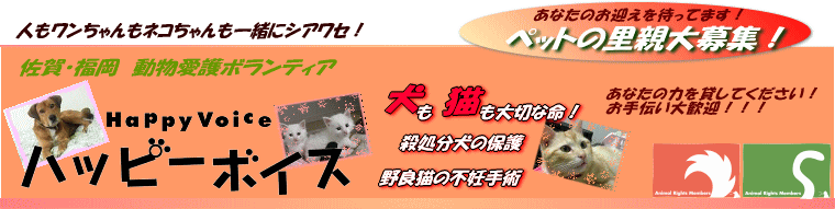 f0343323_15315486.gif