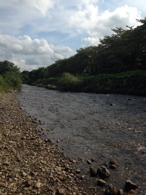 b0203925_21205316.jpg