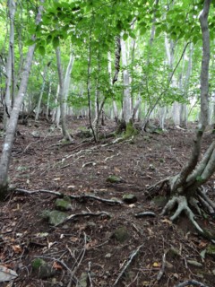 e0266825_14205191.jpg