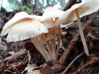 e0266825_14313377.jpg