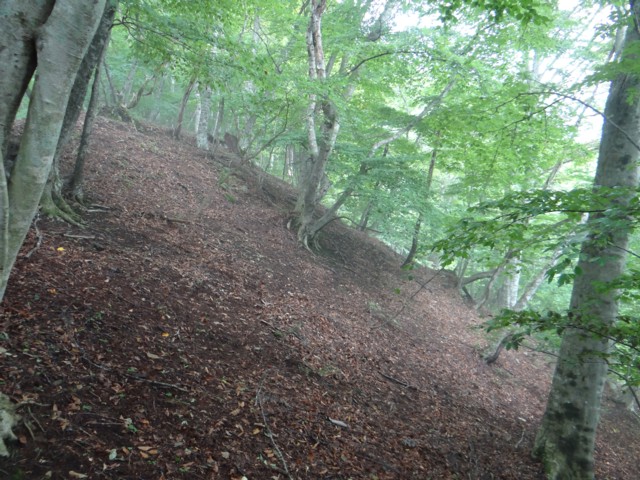e0266825_1432958.jpg