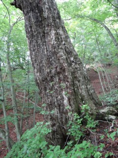 e0266825_14351085.jpg