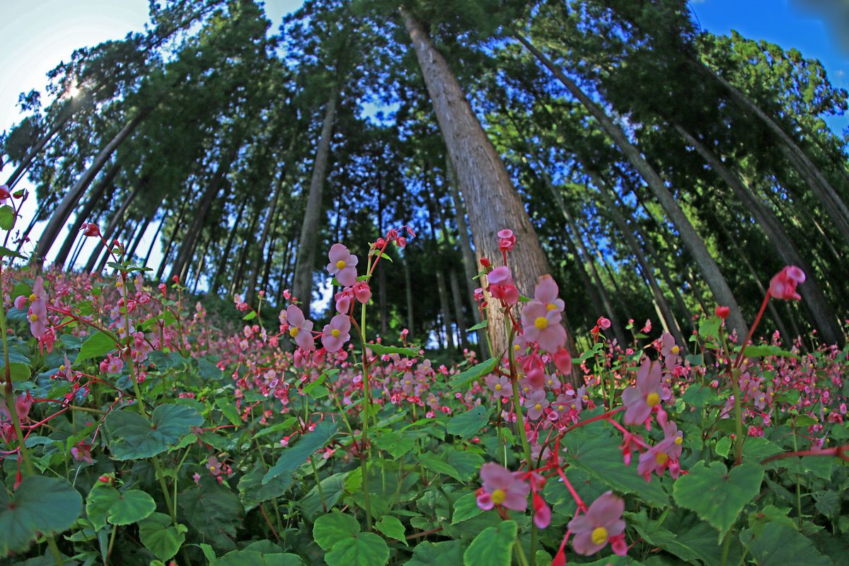c0104227_22561895.jpg