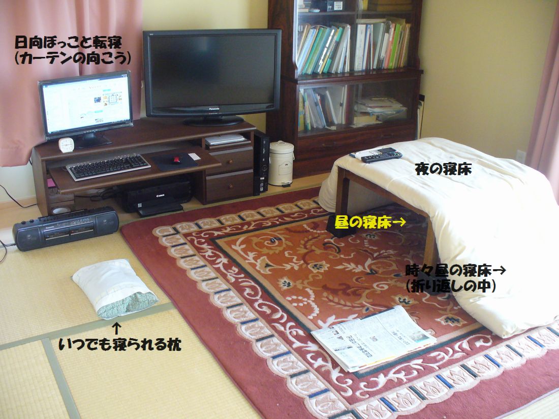 f0346527_21481316.jpg