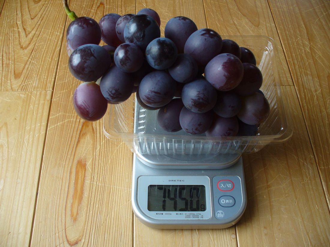 f0346527_2225779.jpg