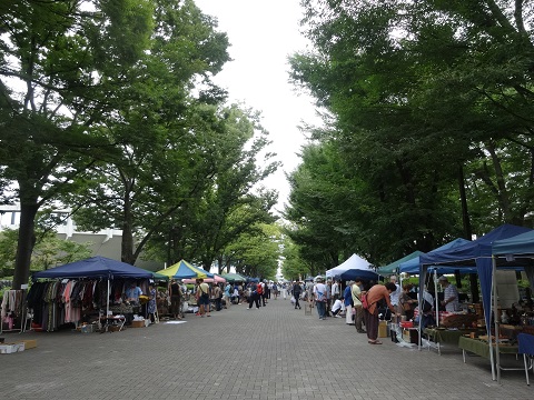 a0024829_10591943.jpg