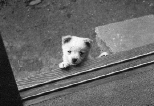 a0024829_1111395.jpg