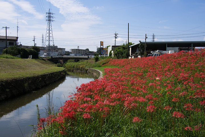 b0134829_20211293.jpg