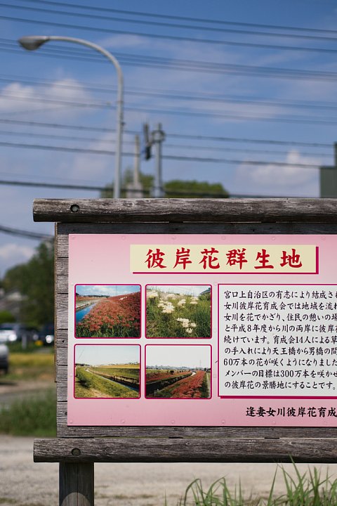 b0134829_20225275.jpg