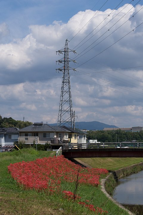 b0134829_20233573.jpg