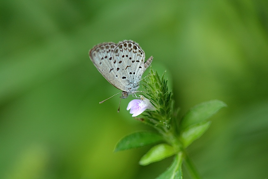 d0303129_29153.jpg