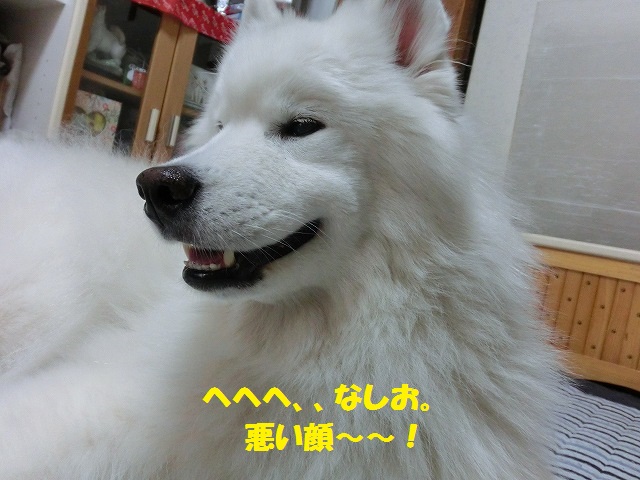 e0196135_9344083.jpg