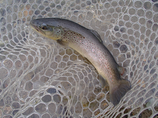 f0065341_12103089.jpg