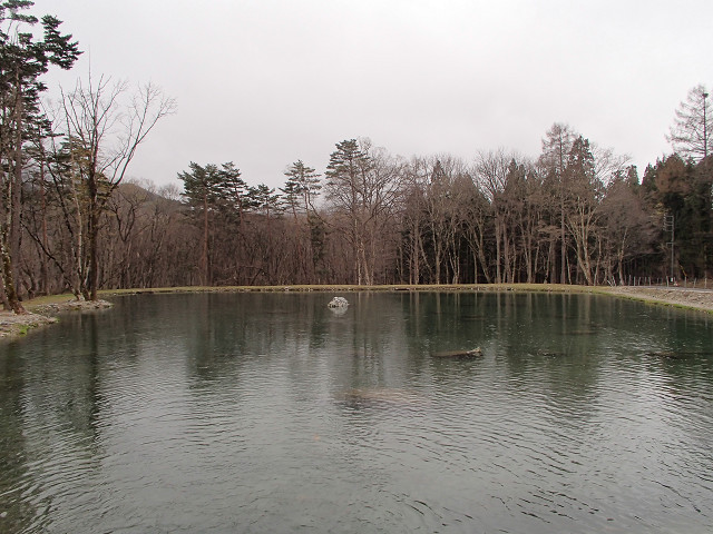 f0065341_1211922.jpg