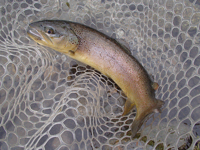 f0065341_1212693.jpg
