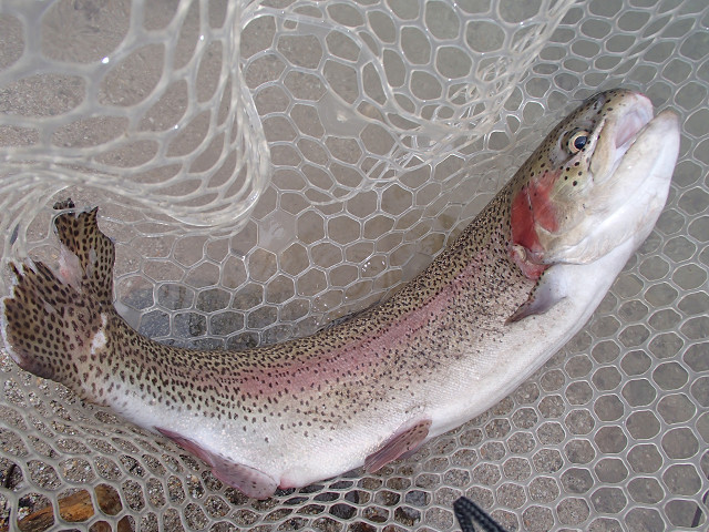 f0065341_12171973.jpg