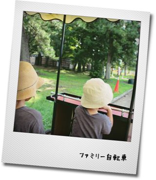 e0214646_1549421.png
