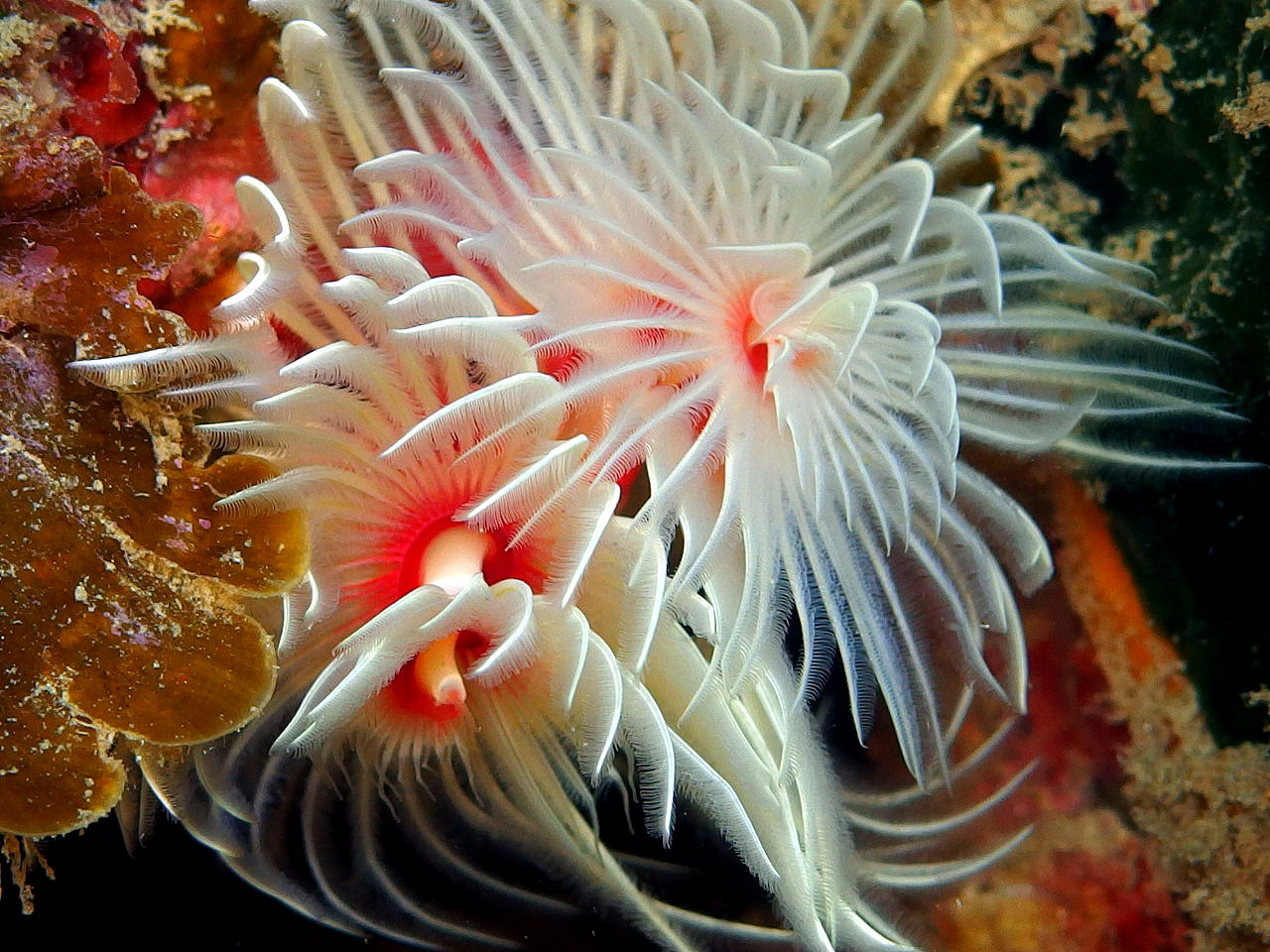 b0236647_14294598.jpg