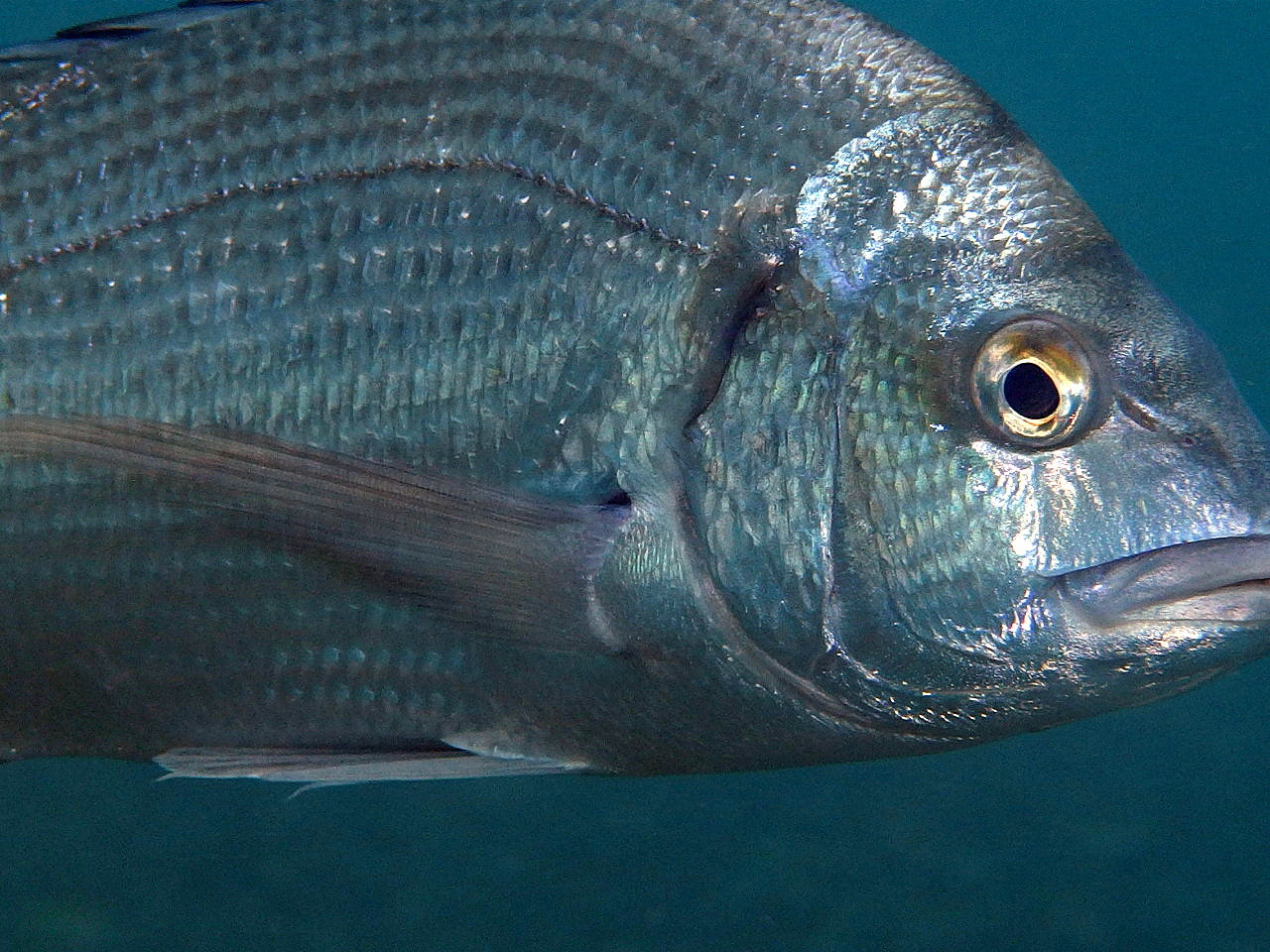 b0236647_14313383.jpg