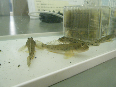 c0027849_06451785.jpg