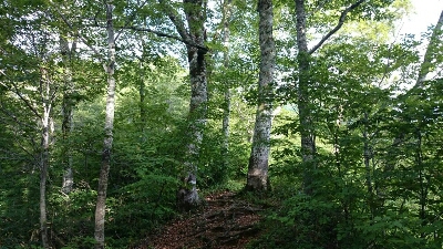 b0148050_13485220.jpg
