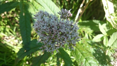 b0148050_13531956.jpg