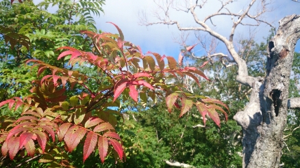 b0148050_13552595.jpg
